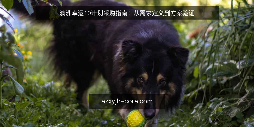澳洲幸运10计划采购指南:从需求定义到方案验证 — 现状:计划内容分散,采购无从下手 配图