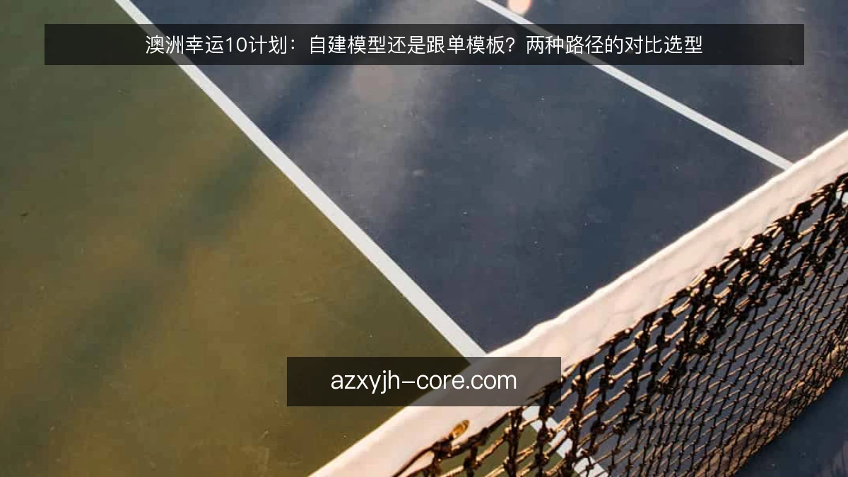 澳洲幸运10计划：自建模型还是跟单模板？两种路径的对比选型
